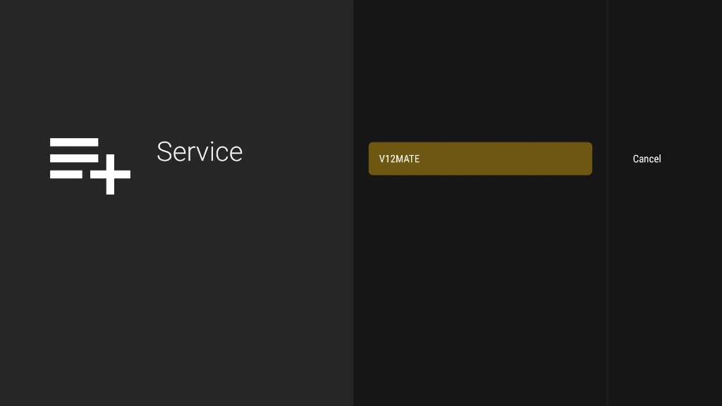 Service V12MATE screen